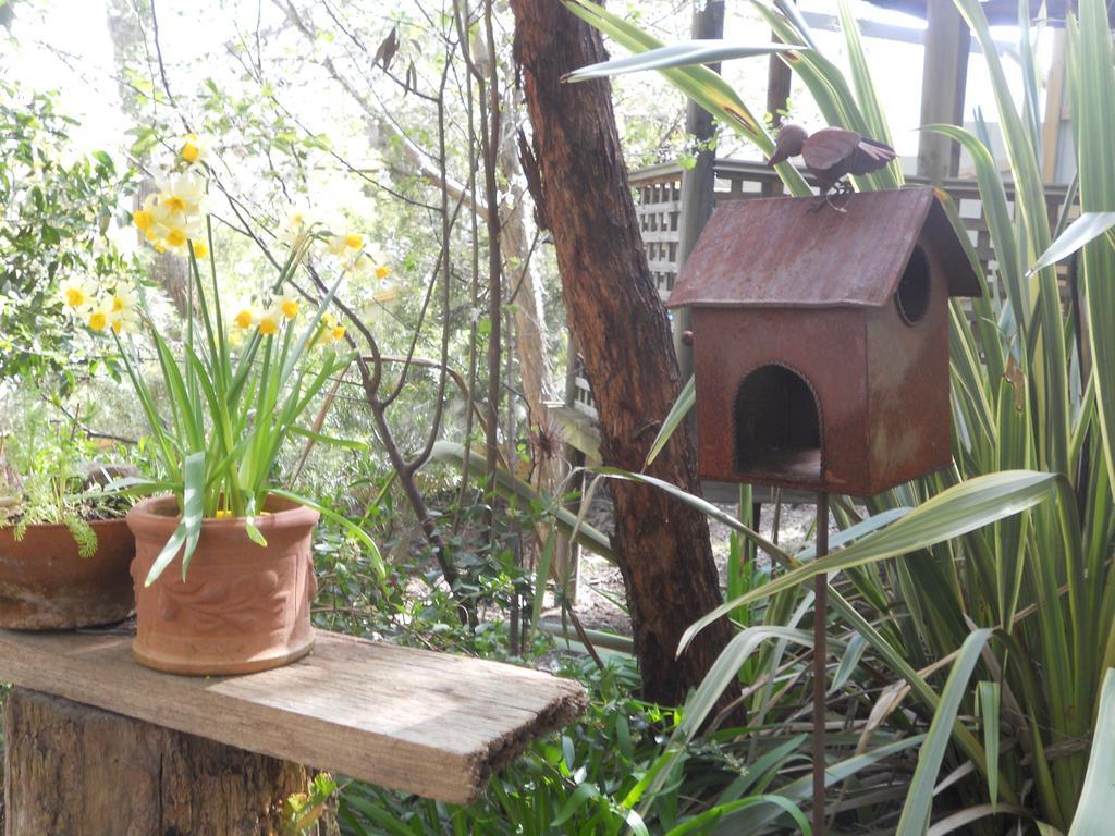 Astley Cottage 데일스포드 객실 사진